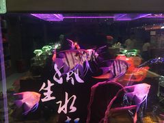 -龟与熊猫宠物公园(南坪店)