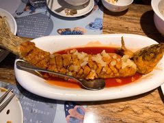 -蝴蝶汇音乐酒馆(罗湖店)