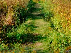 -洋湖国家湿地公园