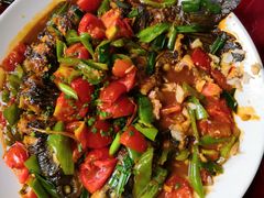 -生态苑农庄(十里画廊遇龙河店)