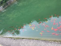 -四门塔风景区