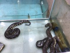 -渔民新村(番禺总店)