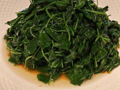 酒香豆苗-漢舍中国菜馆(889广场店)