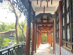 -顺峰山公园