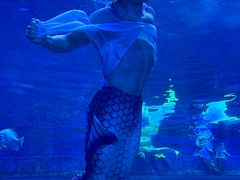 -华夏文旅海洋公园