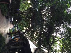 T馆-T館·花园艺术餐厅