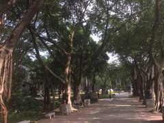 -广州雕塑公园