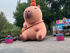 -北京野生动物园