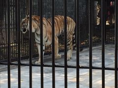 -广东茂名森林公园