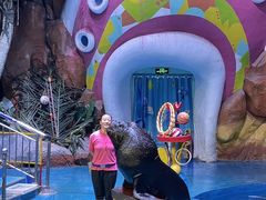 -烟台海昌鲸鲨海洋公园