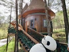 -洛阳白云山景区