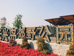 -上海长兴岛郊野公园