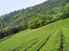 -敬亭山风景名胜区