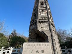 -上海佘山国家森林公园天马山园