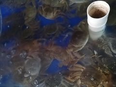 -阳澄湖大闸蟹·琼灵阁牌品牌连锁(吴中总店)
