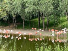 -北京野生动物园