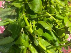 -官塘兄弟·潮汕牛肉店(官塘总店)