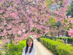 -山东大学(千佛山校区)