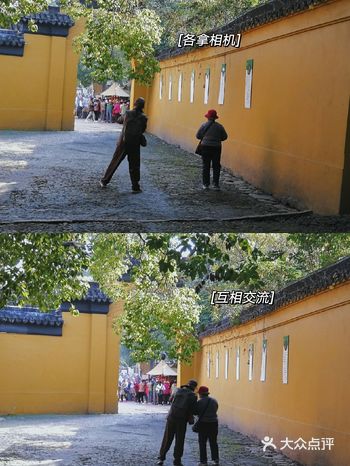 西园寺 | 冬天也是个温柔的季节