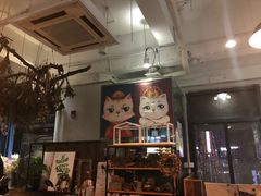 -吉丁鸟咖·异宠·寄养