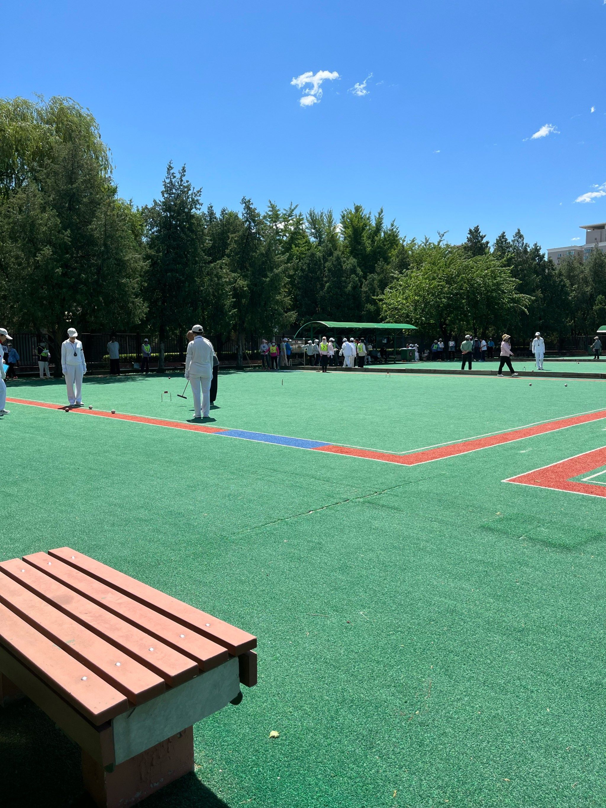 门球场内门球赛