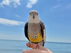-南戴河旅游度假区