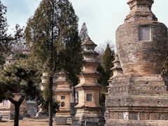 -少林寺欢喜地素斋馆