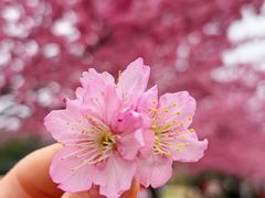 -笑来喜馄饨小笼工坊店(湖滨街店)