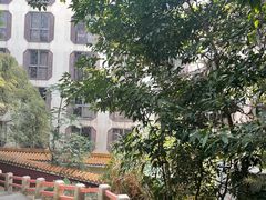 -深圳仙湖植物园