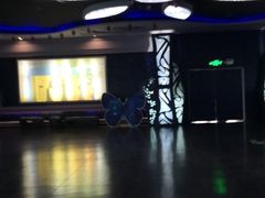 -郑州方特梦幻王国