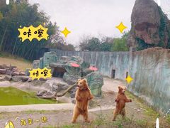 -宁波野生动物园