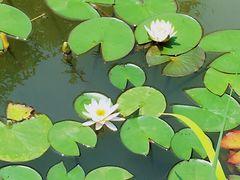 -太湖湖滨国家湿地公园-停车场