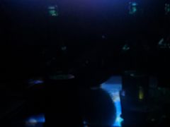 -悦汇商务会所KTV夜总会(松江店)