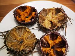 -海胆小馆(东北水饺·春柳店)