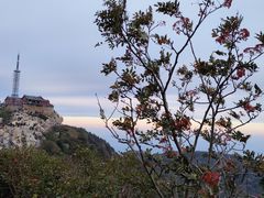 -泰山风景名胜区