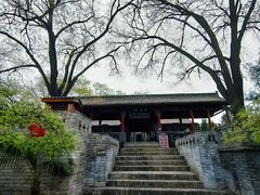 -大槐树寻根祭祖园