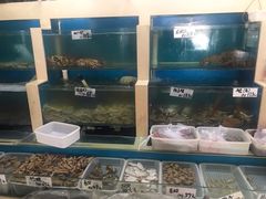 水产区-胶东海鲜大排档(北太平庄店)