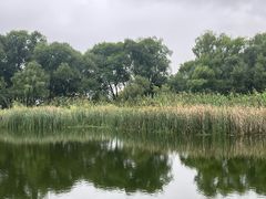 -西湖风景区-江洋畈生态公园