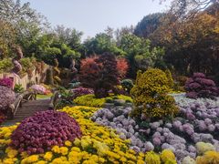 -杭州植物园