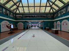 -上海市第一人民医院(松江南部)