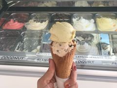 -Lolita's Gelato