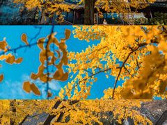 -无锡惠山寺
