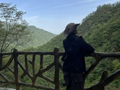 -洛阳白云山景区