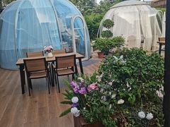 -蘇锦宴·淮扬菜烤鸭·小院(三元桥霄云路店)