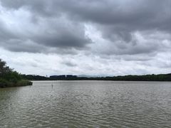 -华侨城湿地公园
