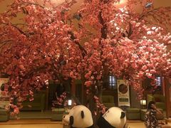 -大江户·温泉洗浴(浑南店)