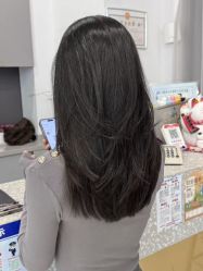 -世田造型