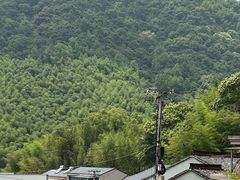 -宁波浙东大竹海景区