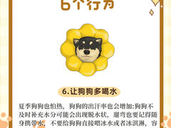-瑞派申生动物医院·24H夜诊·国际动物医疗中心·骨外科(吴中路店)