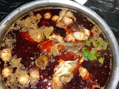 -忘情水鱼府(北湖路店)